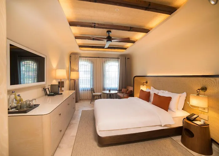 Hotel Cunda Callisto & Adult Only 14 Ayvalik